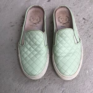Del Toro Mules 